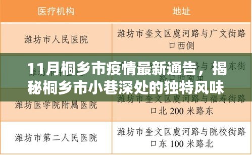 桐乡市疫情最新通告，小巷深处的独特风味，疫情下的意外美食之旅