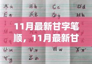 甘字笔顺的探讨，传统与革新的交汇点，11月最新解析