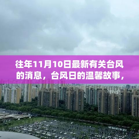 台风的温馨故事，家庭与风的共舞日常