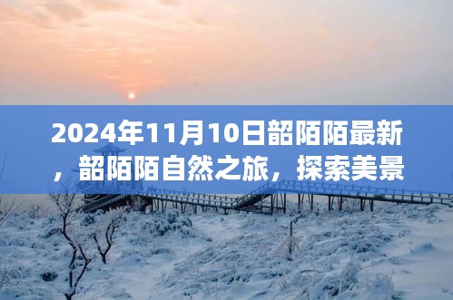 韶陌陌自然之旅，探索美景，寻找内心平静的力量（2024年11月10日最新）