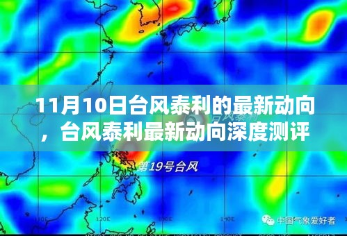 台风泰利最新动向深度解析，特性、体验、竞品对比与用户群体分析