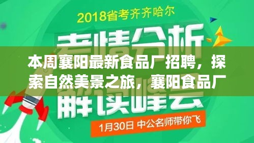 襄阳食品厂本周招聘启事，探索自然美景之旅，寻找内心的宁静与平和之旅