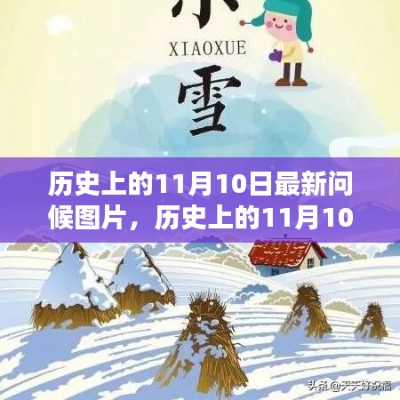 历史上的11月10日，最新问候图片及其产品全面评测与介绍