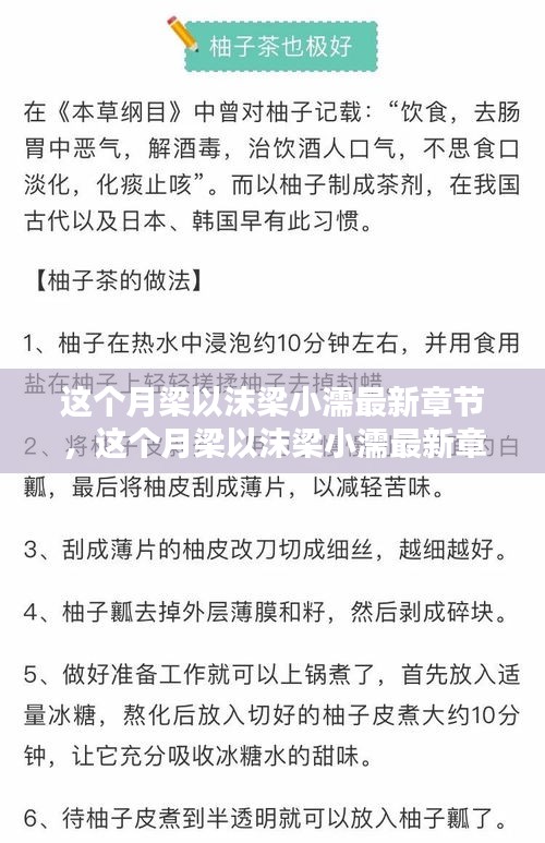 这个月梁以沫梁小濡最新章节，深度解析与书评