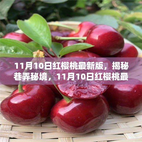 揭秘巷弄秘境，红樱桃最新版美味天堂（11月10日版）