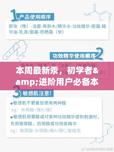 本周最新汞操作指南，初学者与进阶用户的必备教程