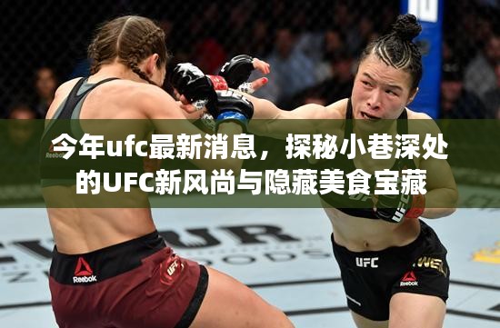 UFC新风尚与小巷美食宝藏揭秘，今年最新消息一网打尽