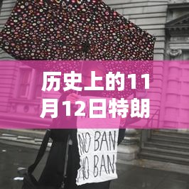 揭秘历史上的11月12日特朗普禁穆令背后的科技动态与未来智能先锋产品展望