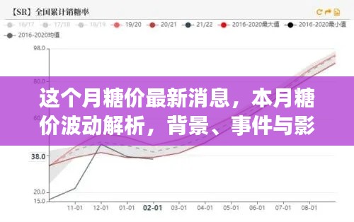 本月糖价动态，最新消息、波动解析及背景影响全解析