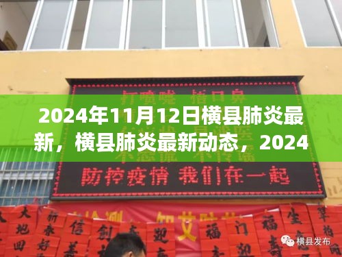 2024年11月12日横县肺炎最新动态与深度解析（要点版）