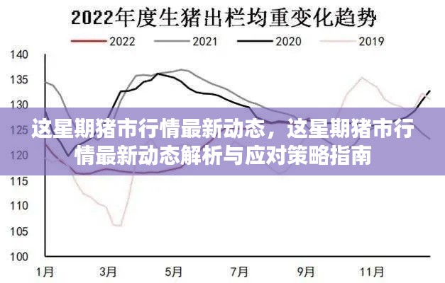 猪市行情最新动态解析及应对策略指南本周更新发布