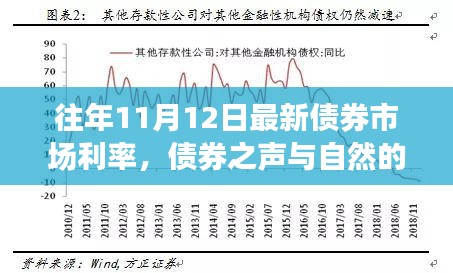 债券市场利率更新日，与自然旋律共舞的心灵之旅