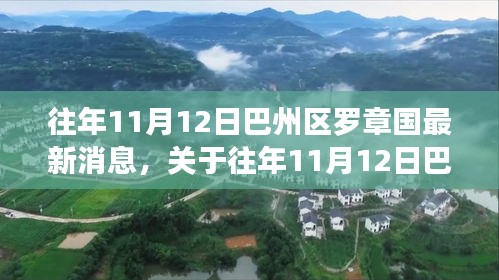 巴州区罗章国最新消息深度解析，历年11月12日动态回顾