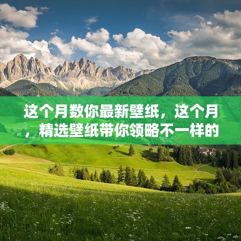 精选壁纸，领略独特风景，本月新壁纸欣赏