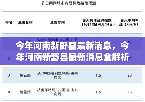 河南新野县最新动态解析，紧跟发展步伐的全面指南