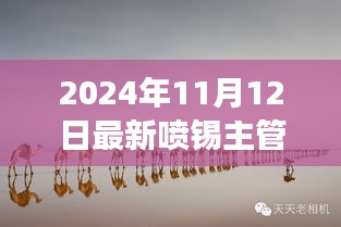 喷锡主管新岗位招聘启事，启程探索自然美景之旅，寻找内心平静之旅