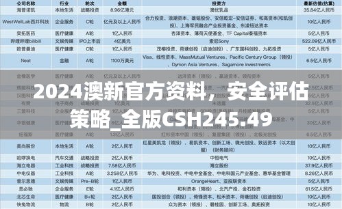 2024澳新官方资料，安全评估策略_全版CSH245.49