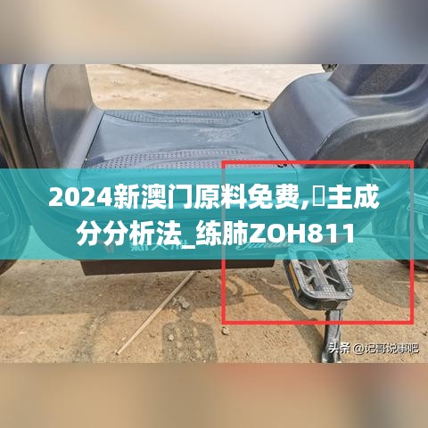 2024新澳门原料免费,‌主成分分析法_练肺ZOH811