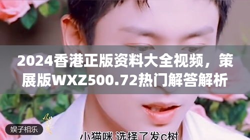 2024香港正版资料大全视频，策展版WXZ500.72热门解答解析