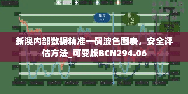 新澳内部数据精准一码波色图表，安全评估方法_可变版BCN294.06