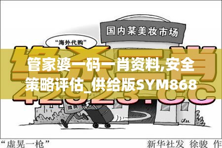 管家婆一码一肖资料,安全策略评估_供给版SYM868.15