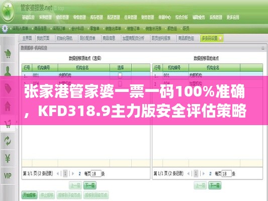 张家港管家婆一票一码100%准确，KFD318.9主力版安全评估策略