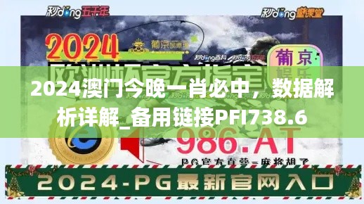 2024澳门今晚一肖必中，数据解析详解_备用链接PFI738.6