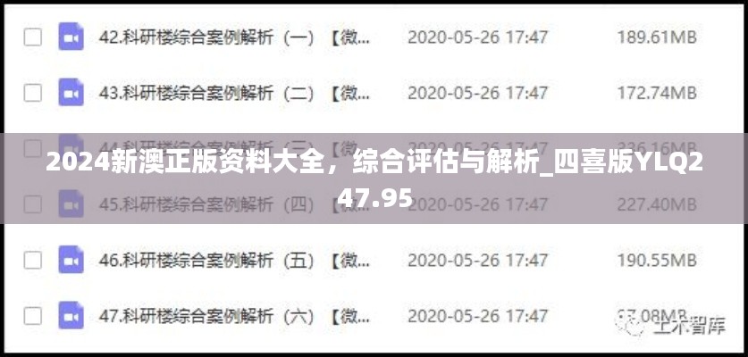 2024新澳正版资料大全，综合评估与解析_四喜版YLQ247.95