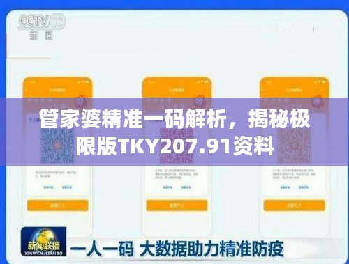 管家婆精准一码解析，揭秘极限版TKY207.91资料