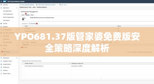 YPO681.37版管家婆免费版安全策略深度解析