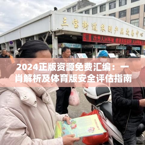 2024正版资源免费汇编：一肖解析及体育版安全评估指南DZA956.12