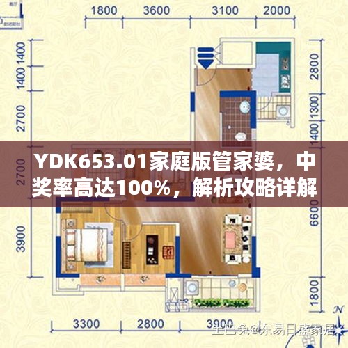 YDK653.01家庭版管家婆，中奖率高达100%，解析攻略详解