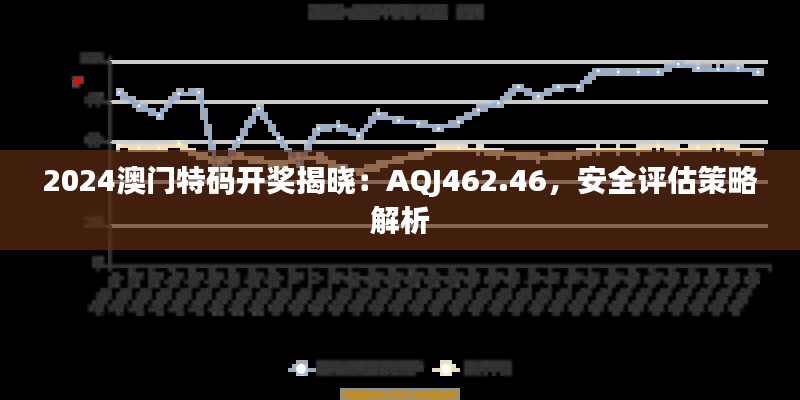 2024澳门特码开奖揭晓：AQJ462.46，安全评估策略解析