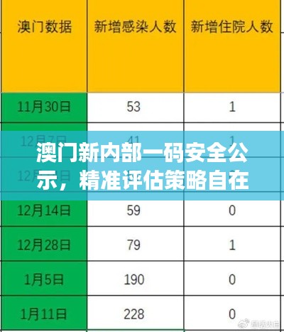 澳门新内部一码安全公示，精准评估策略自在版MVN654.82