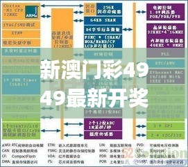 新澳门彩4949最新开奖记录,综合判断解析解答_薄荷版507.39