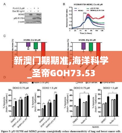 新澳门期期准,海洋科学_圣帝GOH73.53