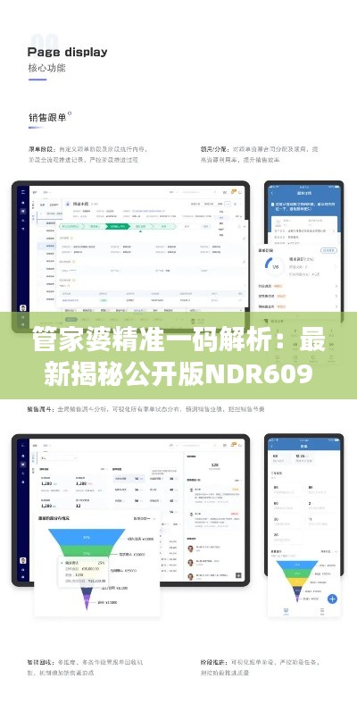 管家婆精准一码解析：最新揭秘公开版NDR609.66解答