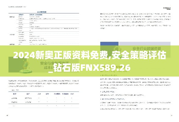 2024新奥正版资料免费,安全策略评估_钻石版FNX589.26