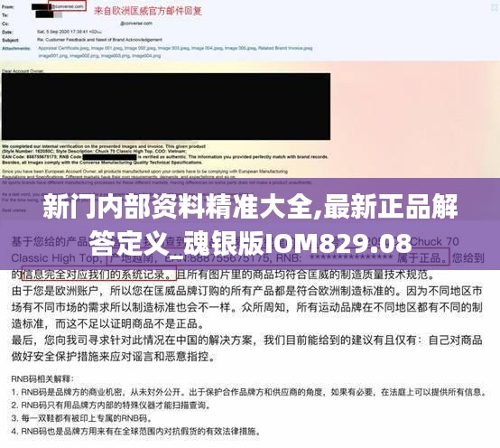 新门内部资料精准大全,最新正品解答定义_魂银版IOM829.08