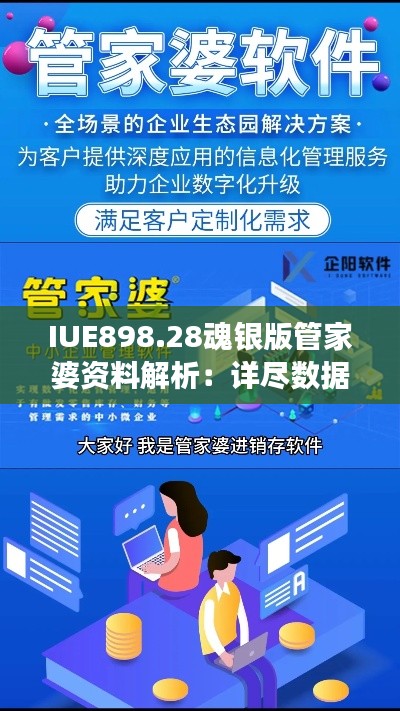 IUE898.28魂银版管家婆资料解析：详尽数据说明