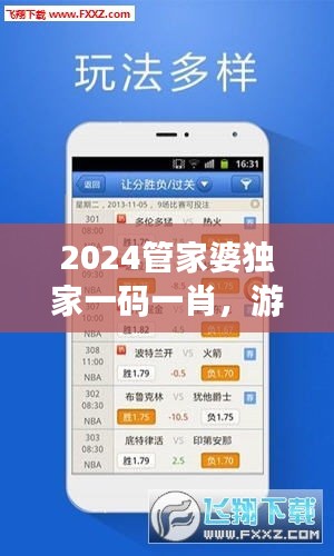 2024管家婆独家一码一肖，游戏CTE916.75版安全评估攻略