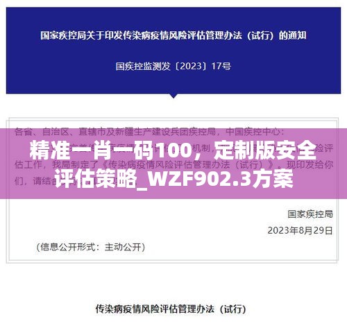 精准一肖一码100，定制版安全评估策略_WZF902.3方案