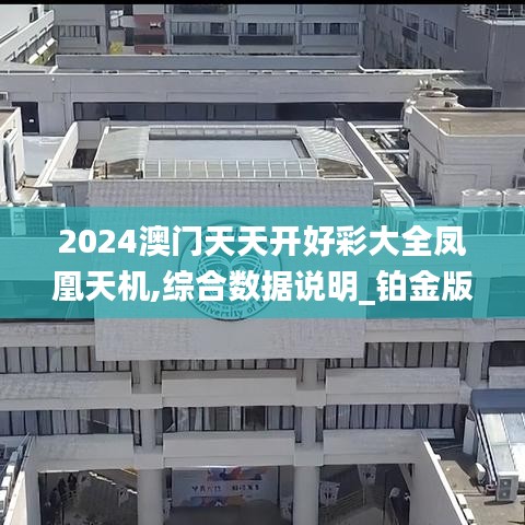 2024澳门天天开好彩大全凤凰天机,综合数据说明_铂金版GJV445.24