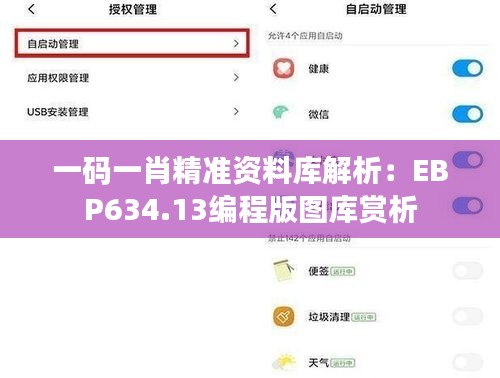 一码一肖精准资料库解析：EBP634.13编程版图库赏析