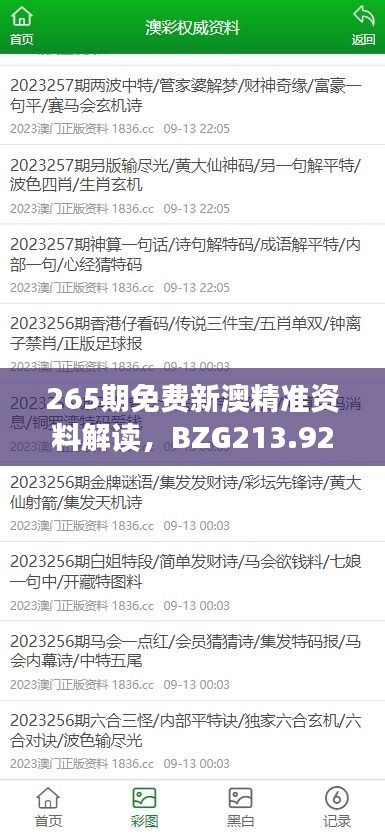 265期免费新澳精准资料解读，BZG213.92单独版详解