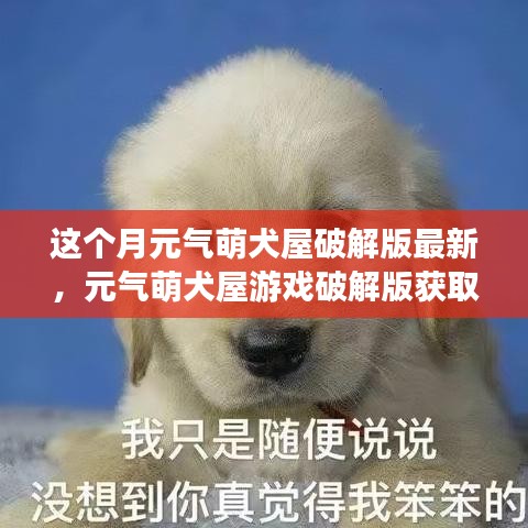 元气萌犬屋游戏破解版获取与安装指南（不推荐行为，法律风险提示）