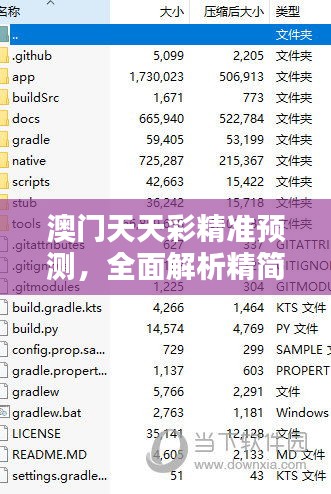 澳门天天彩精准预测，全面解析精简版IYB649.05