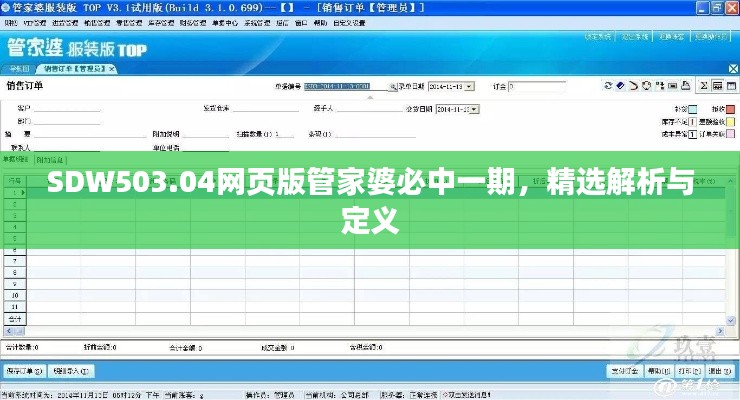 SDW503.04网页版管家婆必中一期，精选解析与定义