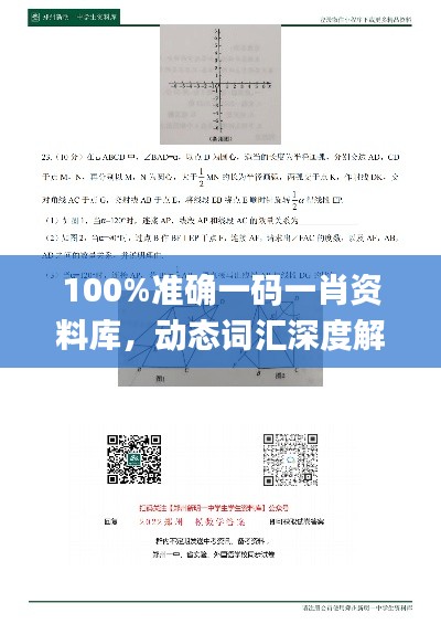 100%准确一码一肖资料库，动态词汇深度解析_专业付费版DBP312.34