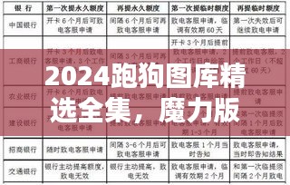 2024跑狗图库精选全集，魔力版EVS651.62深度解析